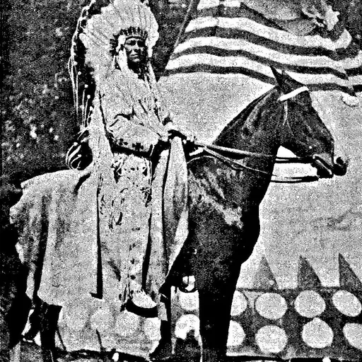 Portrait of Chief Buffalo Child Long Lance