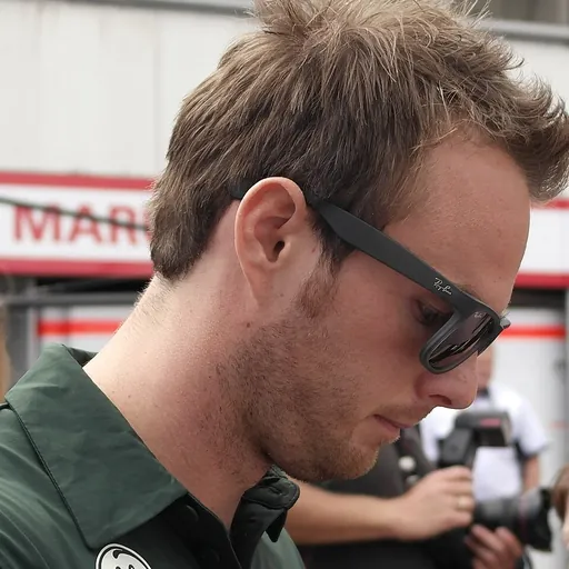 Portrait of Giedo van der Garde