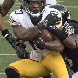 Portrait of Martavis Bryant