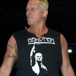 Portrait of The Sandman