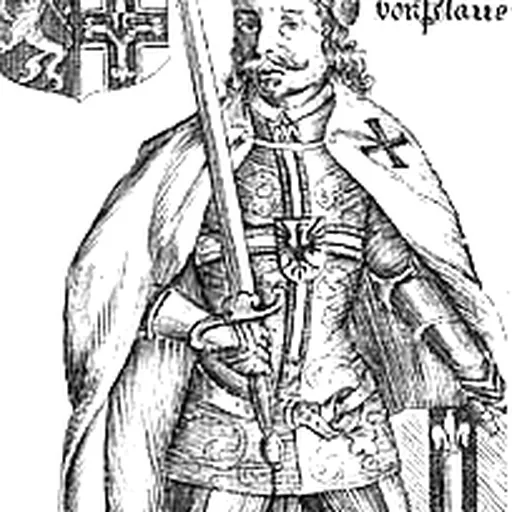 Portrait of Heinrich von Plauen