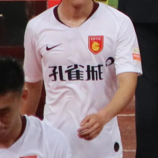 Portrait of Wang Qiuming