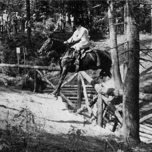 Portrait of Bertie Hill