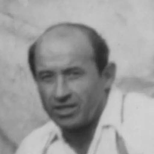 Portrait of Hugo Schmitt