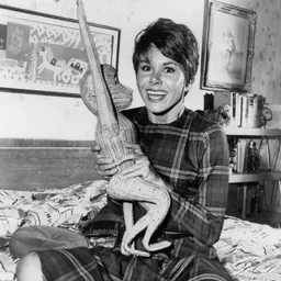 Portrait of Judy Carne