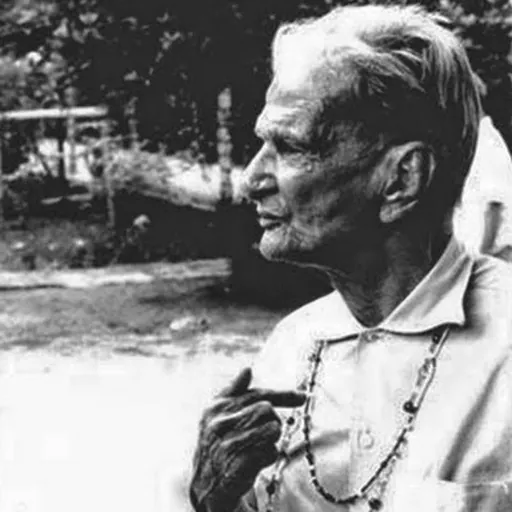 Portrait of Zélio Fernandino de Moraes