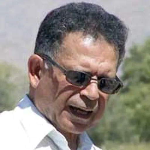 Portrait of Alireza Shapour Shahbazi