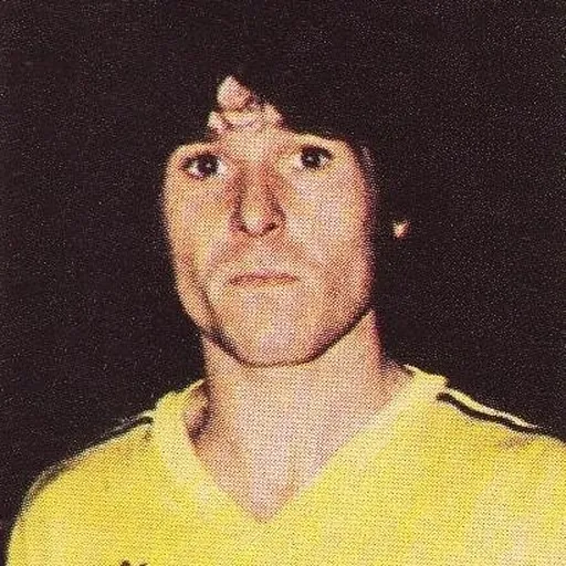 Portrait of Robert Pintenat