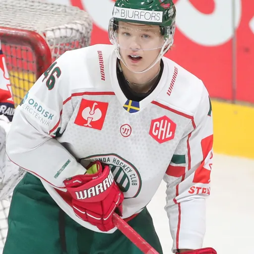 Portrait of Liam Dower Nilsson
