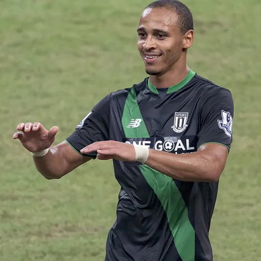 Portrait of Peter Odemwingie