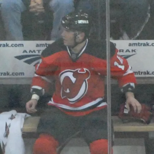 Portrait of Brian Gionta