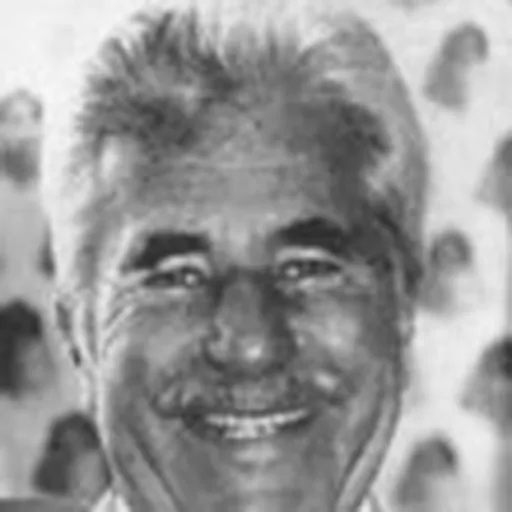 Portrait of Adel Taher