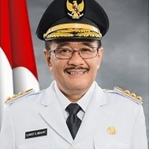 Portrait of Djarot Saiful Hidayat