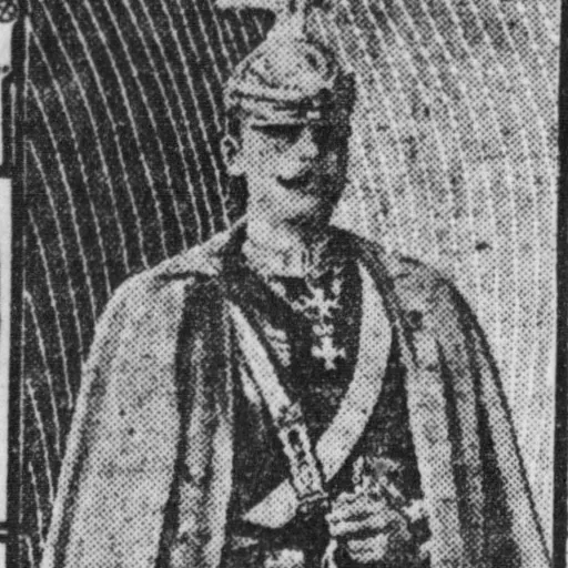 Portrait of Prince Friedrich Leopold of Prussia