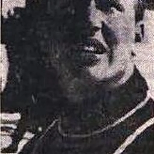 Portrait of Reinhold Bachler