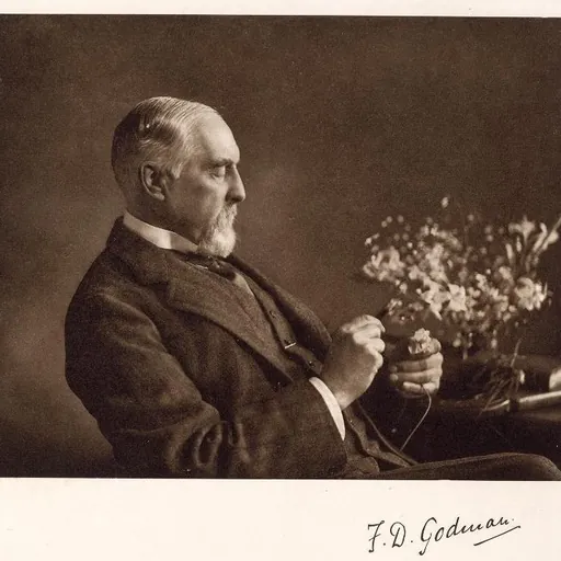 Portrait of Frederick DuCane Godman