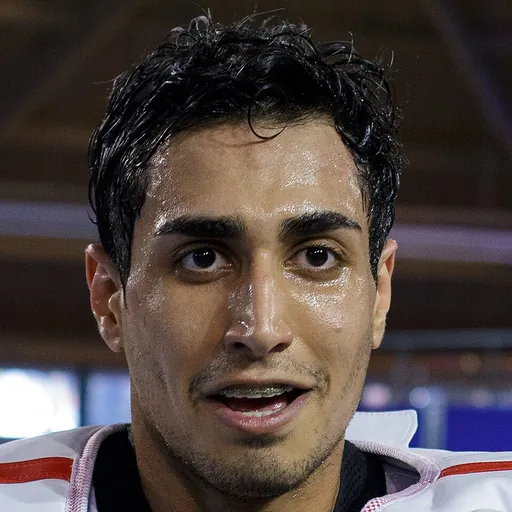 Portrait of Sajjad Mardani