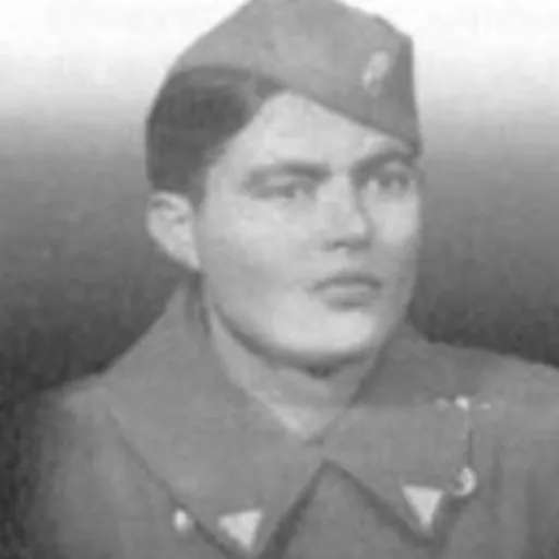 Portrait of Simo Dubajić