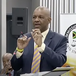 Portrait of Dali Mpofu