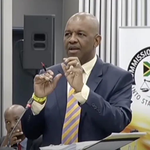 Portrait of Dali Mpofu