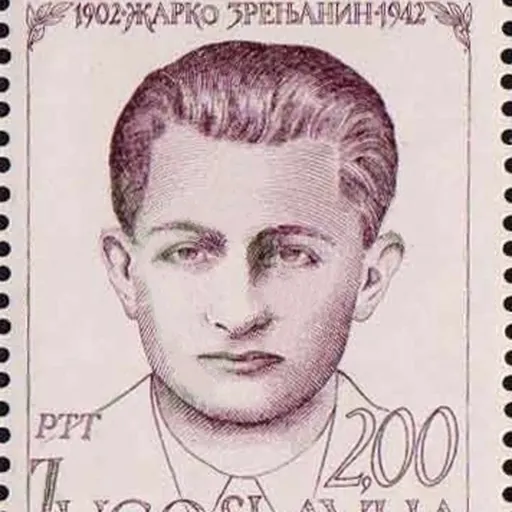 Portrait of Žarko Zrenjanin