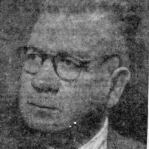 Portrait of Venancio Coñuepán Huenchual