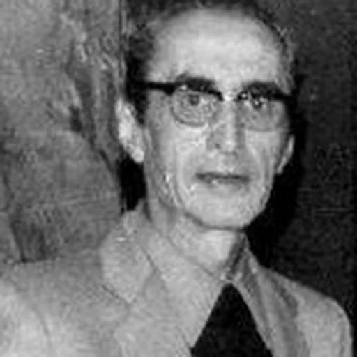 Portrait of Mohamed Temam