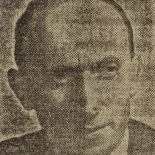 Portrait of Václav David