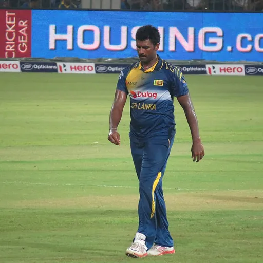 Portrait of Thisara Perera