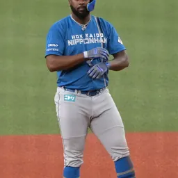 Portrait of Franmil Reyes