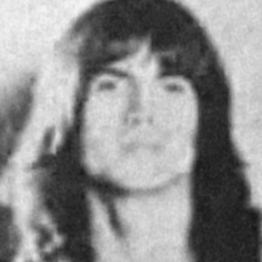 Portrait of Steve Fossen