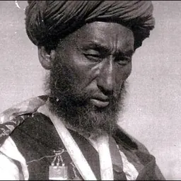 Portrait of Ibrahim Bek