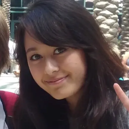 Portrait of Jaiden Animations