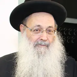 Portrait of Moshe Maya