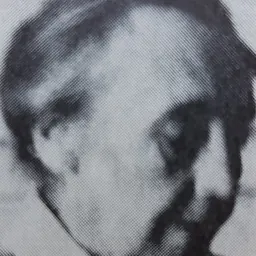 Portrait of Maja Andersson Wirde