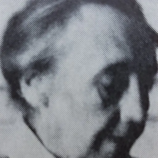 Portrait of Maja Andersson Wirde