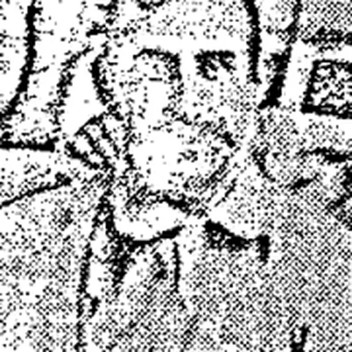 Portrait of Bill McCloskey