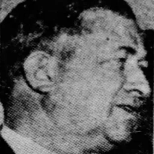 Portrait of M. Lee Marshall