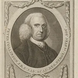 Portrait of Peter Collinson