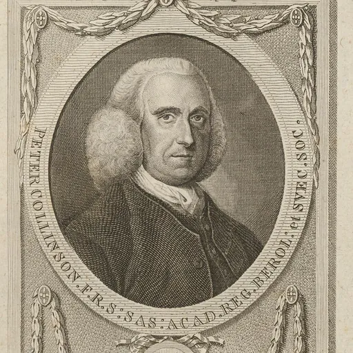 Portrait of Peter Collinson