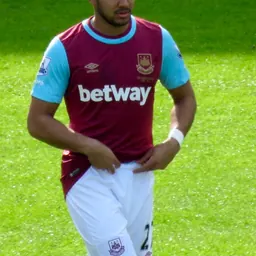 Portrait of Dimitri Payet