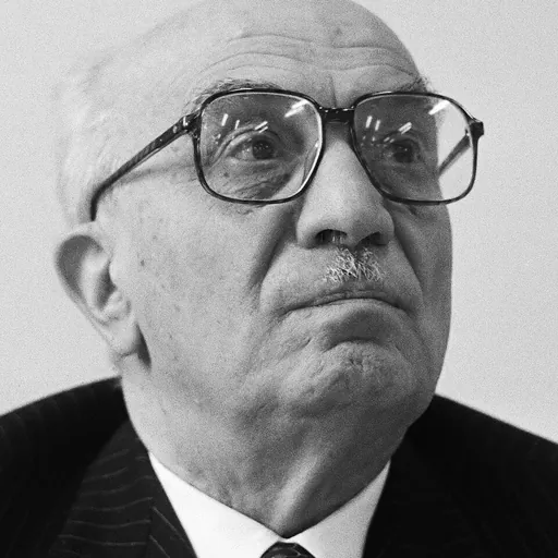 Portrait of Amintore Fanfani