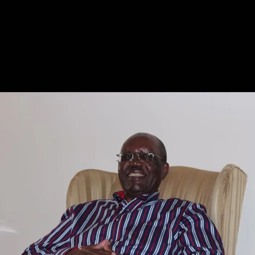 Portrait of Wilson Ndolo Ayah