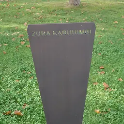 Portrait of Zura Karuhimbi