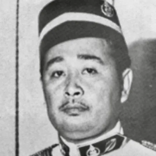 Portrait of Zain Serudin