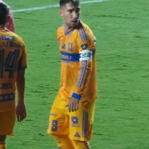 Portrait of Fernando Gorriarán