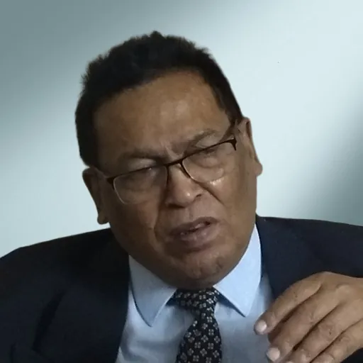 Portrait of Sarbeswar Mohanty