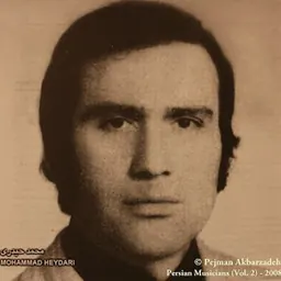 Portrait of Mohammad Heydari