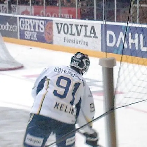 Portrait of Björn Melin