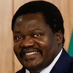 Portrait of Emmanuel John Nchimbi